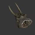 Ancient Dinosaur Skull Fossil With Prehistoric Bone Structure And Detailed Texture