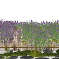 Garden Landscape with Purple Wisteria Covering Bamboo Fence Circular Stone Paths Green Plants Rocks
