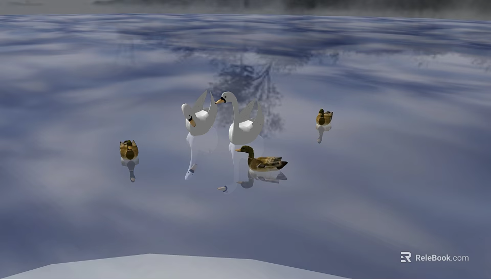 Two White Swans And Three Brown Ducks Swimming On Calm Water With Reflections 3d model 