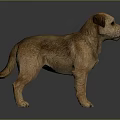 Lifelike Brown Dog Sculpture in Standing Pose with Detailed Features on Gray Background