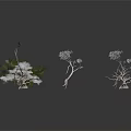Decorative Plants With White Flowers And Green Leaves In Various Forms