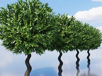 Lush Green Bushes With Curved Trunks Against Blue Sky And Water Reflection 3d model
