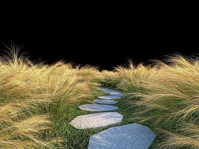 Lush Ornamental Grasses Along Stone Stepping Stones Path In Natural Garden Landscape 3d model