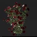 Beautiful Bunch of Red Roses with Lush Green Leaves and Vibrant Blooms