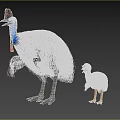 Adult Cassowary With Blue Head And Red Wattle Standing Next To Striped Chick