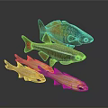 Vibrant School Of Tropical Fish With Colorful Orange Green And Yellow Stripes