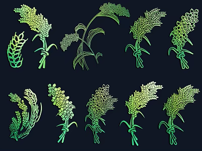 Green Gradient Plant Illustrations Featuring Various Cereal Grains And Herbs On Dark Background 3d model