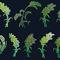 Green Gradient Plant Illustrations Featuring Various Cereal Grains And Herbs On Dark Background