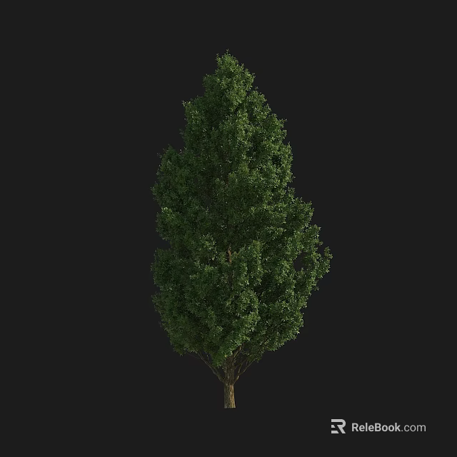 Lush Green Tall Tree With Dense Foliage Strong Trunk And Vibrant Leaves 3d model 