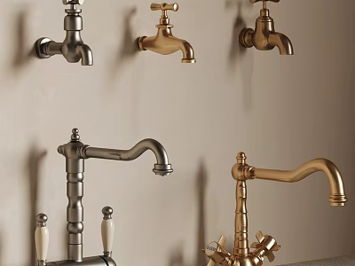 Classic Brass And Silver Wall Mounted Countertop Faucets Vintage Design 3d model