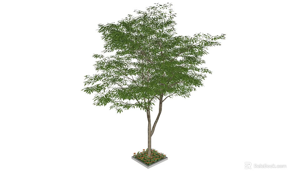 Arbor With Lush Green Leaves Dual Trunks And Square Planter Base Soil 3d model 