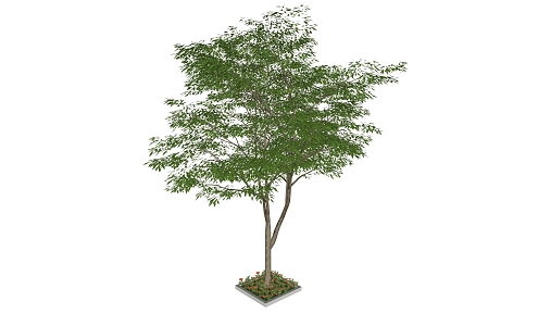 Modern Trees 3d model