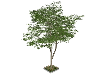 Modern Trees 3d model