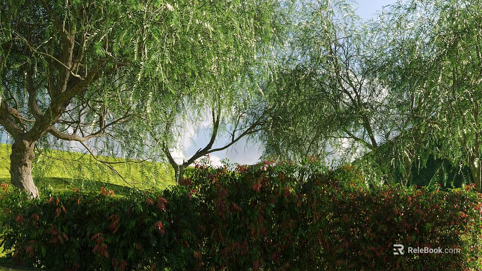 Lush Arbor With Dense Green Foliage And Hanging Branches In Garden Landscape 3d model 