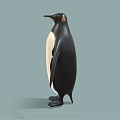 Adorable Penguin With Black And White Feathers Standing On Simple Background