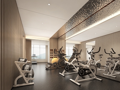 Modern Home Villa Gym Fitness Area Spinning 3d model