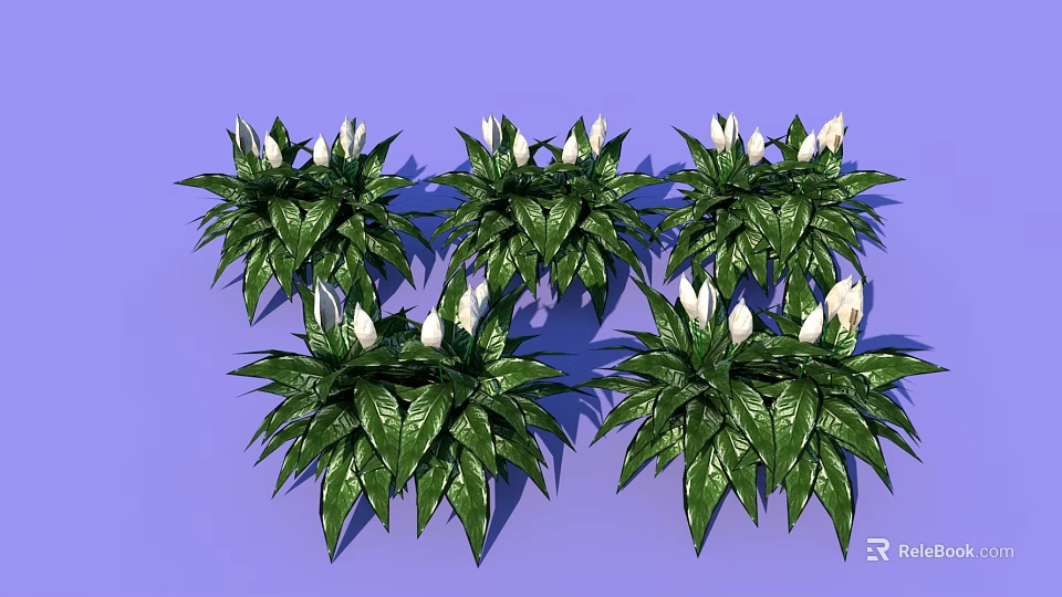Five Potted Green Leafy Plants With White Flowers On Purple Background 3d model 
