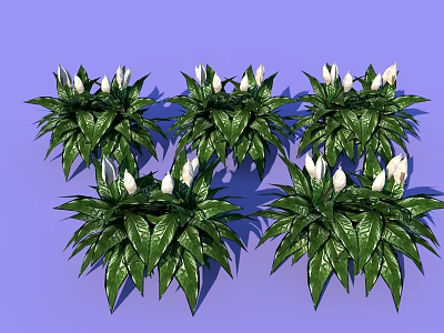 Five Potted Green Leafy Plants With White Flowers On Purple Background 3d model