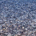 Autumn Fallen Leaves Covering Ground With Light Frost And Brown Hues
