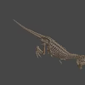 Realistic T Rex Dinosaur Skeleton With Detailed Bones And Standing Posture 3d model