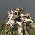 Modern Skeleton Dinosaur Skeleton 3d model