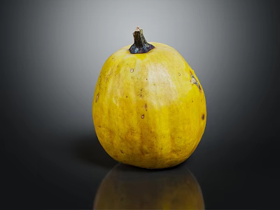 Whole Fresh Yellow Speckled Pumpkin Displayed on Black Surface With Reflection 3d model