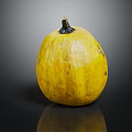 Whole Fresh Yellow Speckled Pumpkin Displayed on Black Surface With Reflection