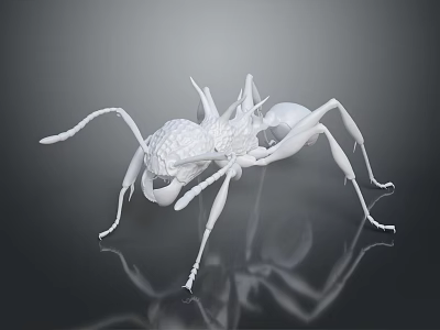 Detailed White Ant 3D Model On Dark Background With Reflection 3d model