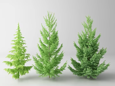 Three Green Arbor Trees Display Different Shapes And Lush Foliage 3d model