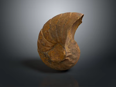 Spiral Stone Sculpture With Natural Fossil Like Texture On Dark Reflective Background 3d model