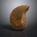 Spiral Stone Sculpture With Natural Fossil Like Texture On Dark Reflective Background