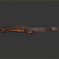 Lizard Anime Lizard Chameleon Cartoon Lizard Reptile Cold Blooded Animal Reptile Class 3d model