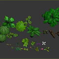 Cartoon Nature Scene Featuring Green Trees Various Leaves Colorful Flowers Small Plants And Wooden Stump