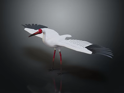 White Crane with Spread Wings Red Head Red Legs and White Feathers on Dark Background 3d model