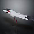 White Crane with Spread Wings Red Head Red Legs and White Feathers on Dark Background
