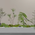 Lush Plant Combination With Ferns Small Trees And Herbs In White Rectangular Planter 3d model