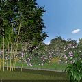 Lush Garden Landscape With Green Trees Purple Flowers Yellow Blossoms And Neat Lawn