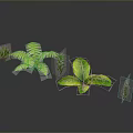 3D Rendered Green Plants Collection With Various Foliage On Dark Background