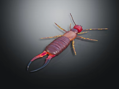 Earwig With Red Head Dark Body Pincer Tail And Yellow Legs On Dark Background 3d model