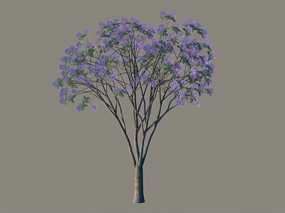Elegant Arbor Tree With Lush Purple Flowers And Spreading Branches 3d model