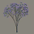 Elegant Arbor Tree With Lush Purple Flowers And Spreading Branches