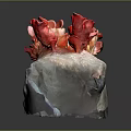 Red Coral Mushrooms With Flower Shaped Structure On Natural Stone Base