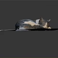Gray And White Cat Curled Up Sleeping On Soft Round Mat With Dark Background 3d model