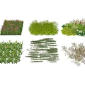 Ground Cover Plants With Diverse Species Colorful Blooms And Green Foliage