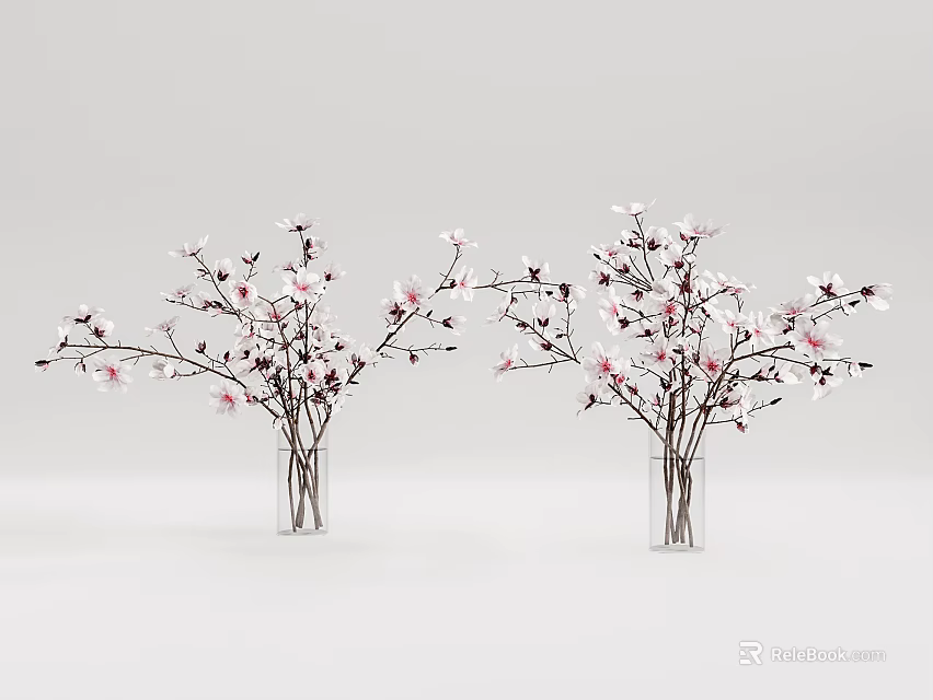 Transparent Glass Vases With White And Pink Flower Branches On White Background 3d model 