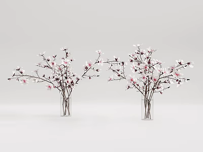Transparent Glass Vases With White And Pink Flower Branches On White Background 3d model