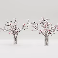 Transparent Glass Vases With White And Pink Flower Branches On White Background