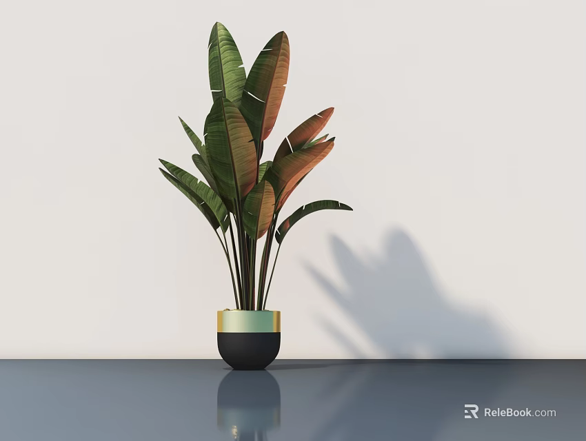 Modern Potted Plant With Green And Red Leaves In Black Gold Pot On Sleek Surface 3d model 