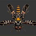Colorful Insect With Red Eyes Black Yellow Body And Transparent Patterned Wings On Shiny Surface