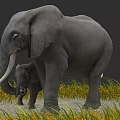 Adult and Baby Elephants Standing on Grassland With Yellow Flowers